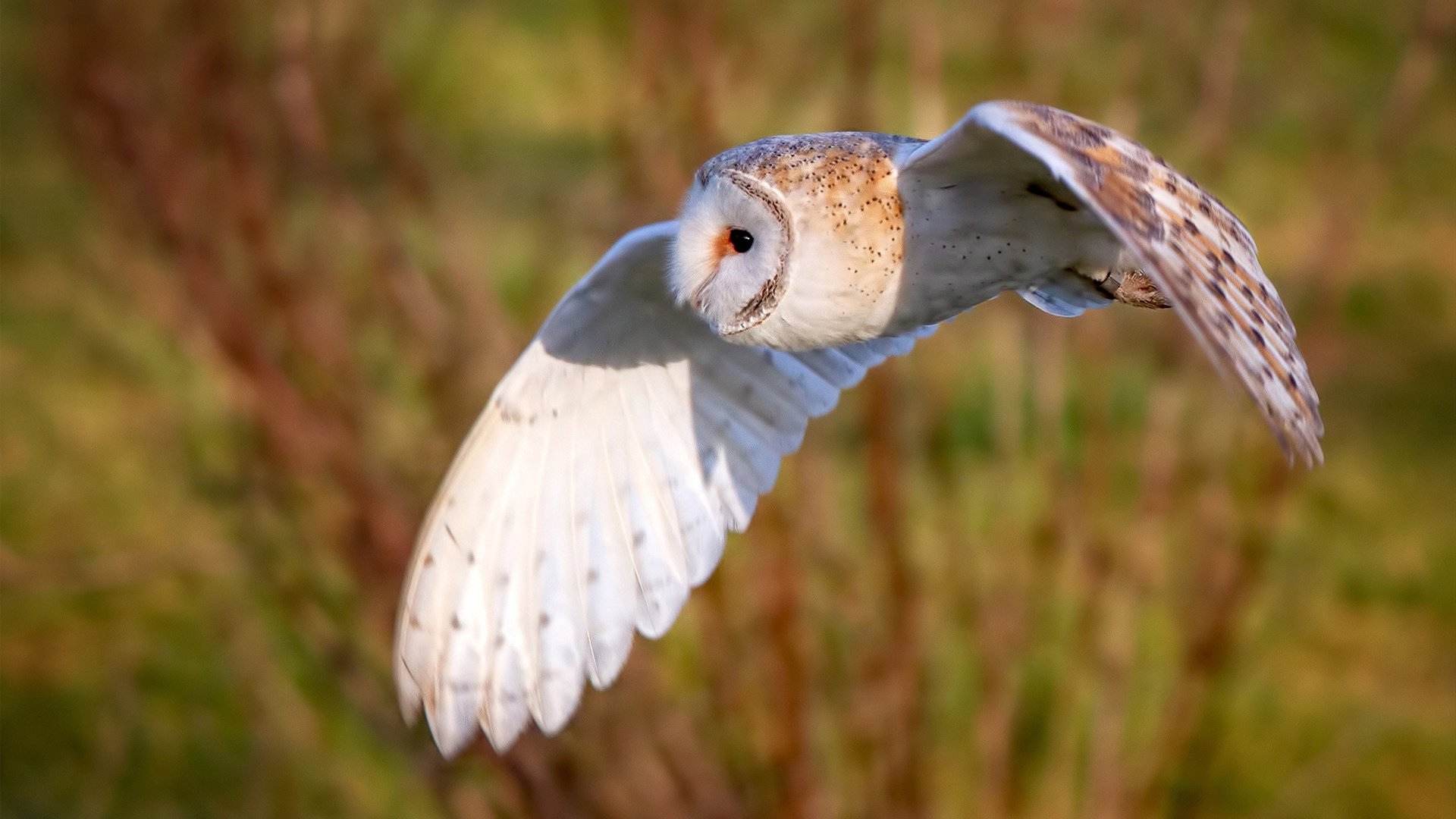 无名铁匠的熔炉，与午时已到的刺客