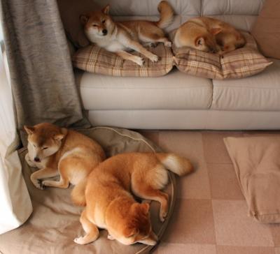 雷火电竞充值-极速之夜，当F1的赛道轰鸣遇见戈贝尔的防守铁壁