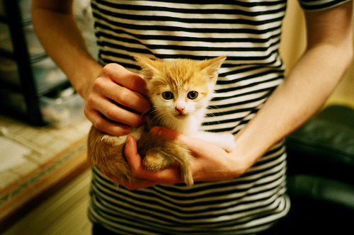 蓝月陨落，沙漠风暴全面压制曼城，C罗一剑封喉成关键先生