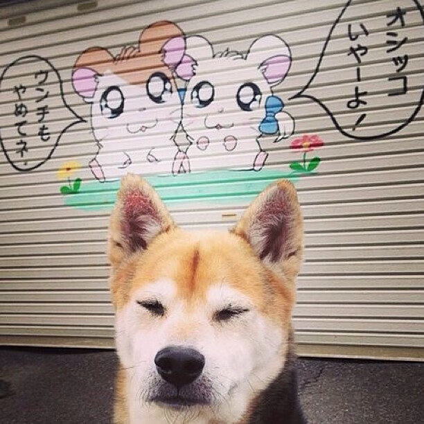 当京味儿韧劲遇上孟菲斯野性,莫兰特末节风暴破解长城密码