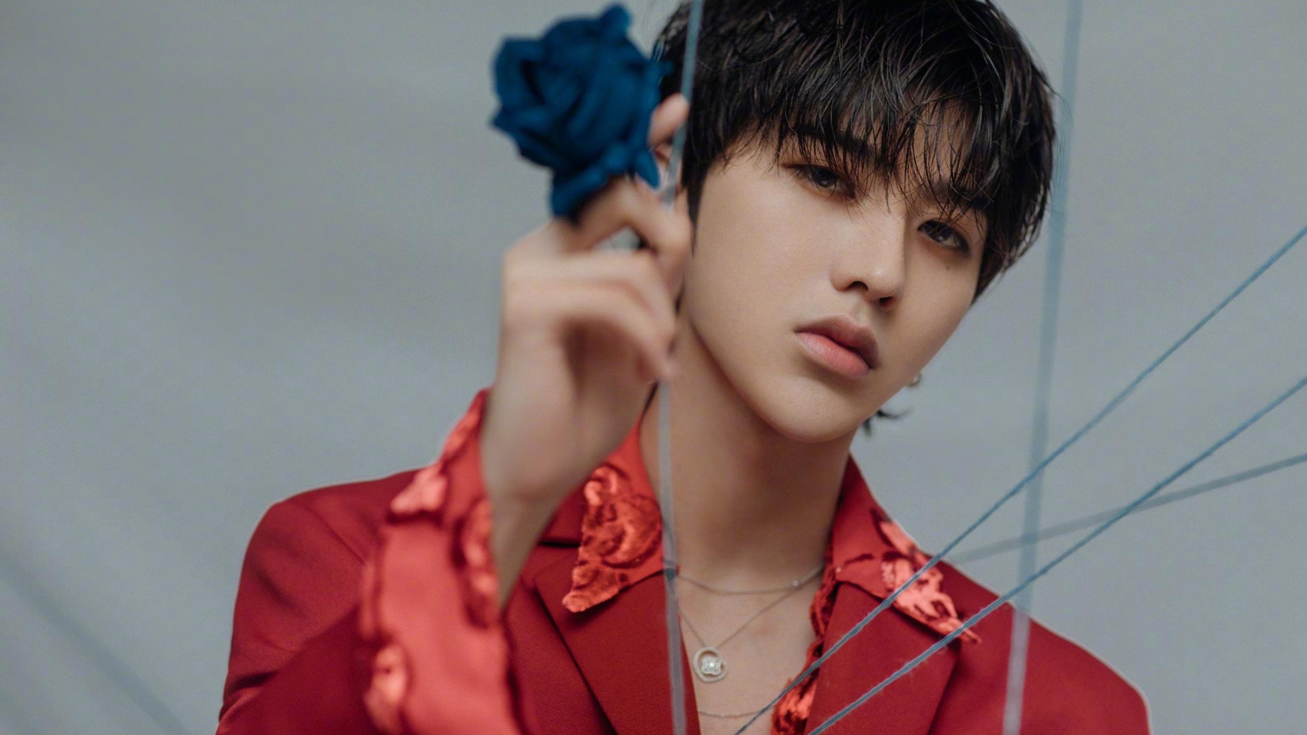 新王当立，锡安·威廉姆森的季后赛宣言与领袖之路