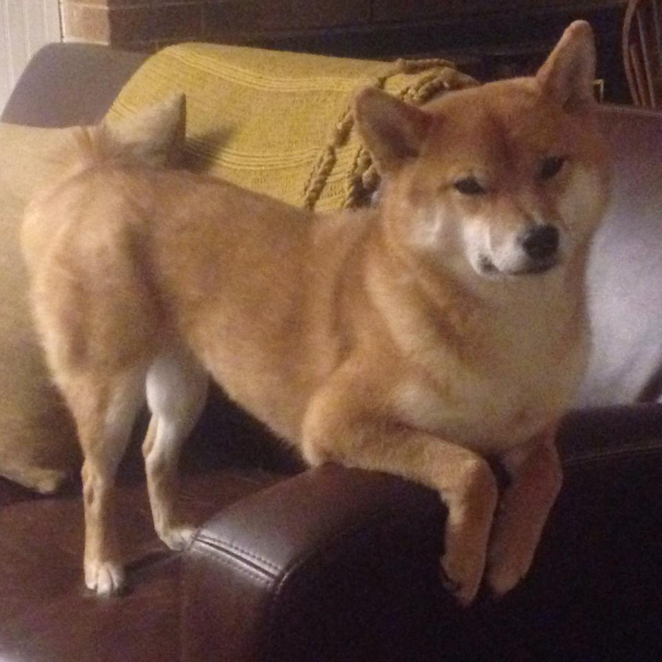 大场面先生！乌拉圭力克莱比锡，恩佐·费尔南德斯证舞台越大越强