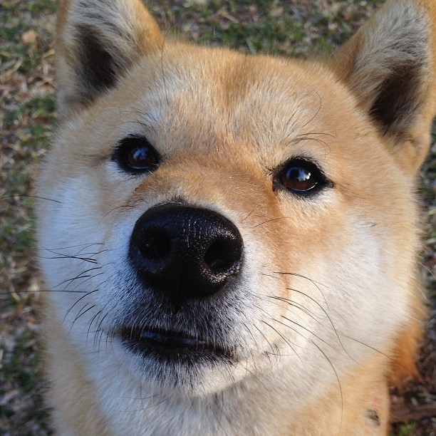 铸心之战，2026世界杯之夜，罗德里与他的唯一性证明