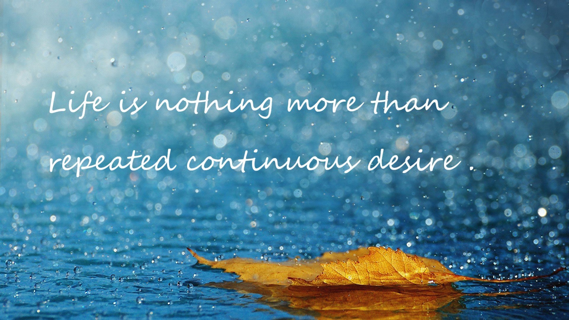 篮球与赛车的交响,活塞夺冠夜,塔图姆赛道称雄