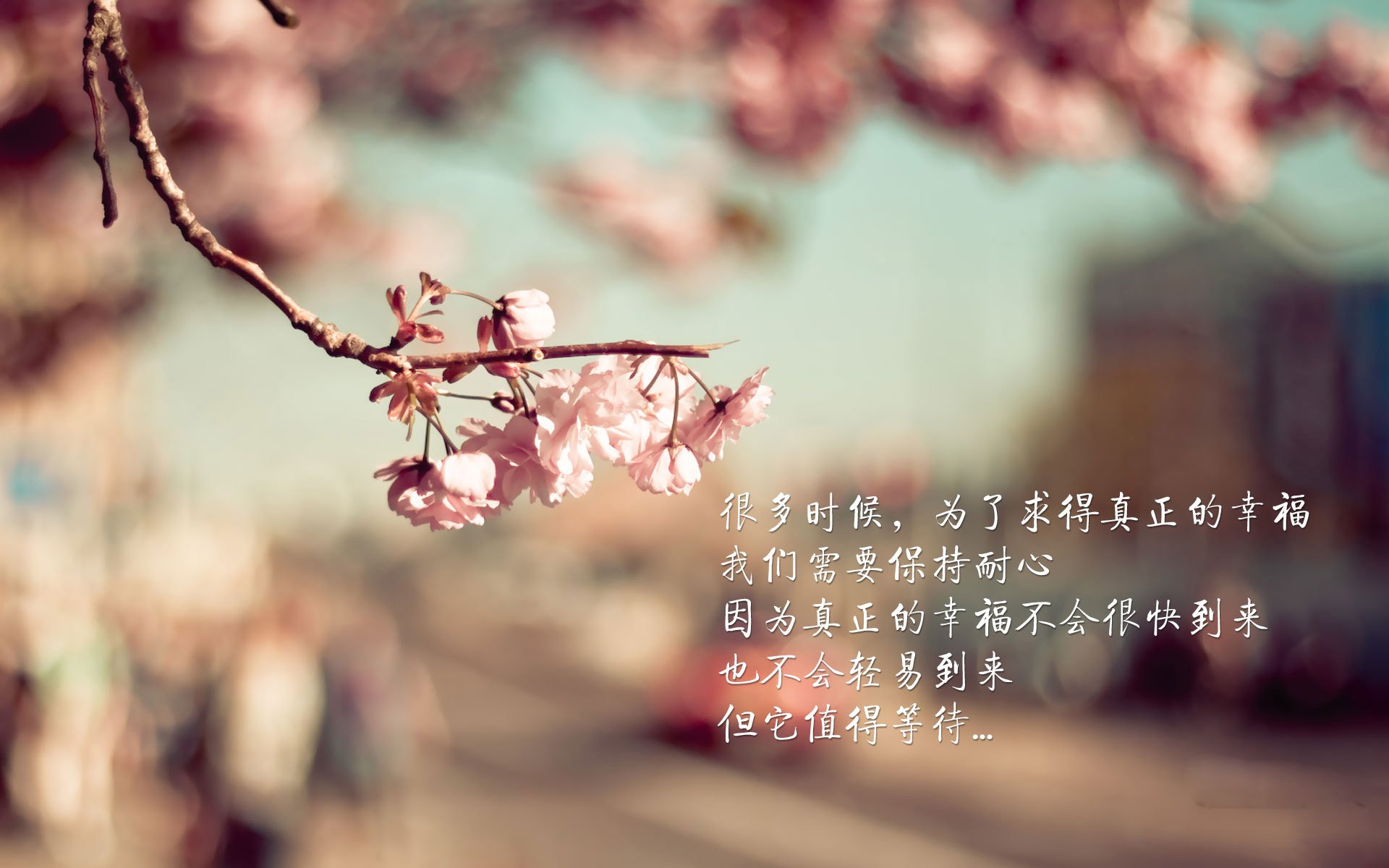 这是一篇为您定制的体育评论文章。为了增强现场感和戏剧性，我采用了战地记者手记的风格，将关键词串联成一个完整的故事