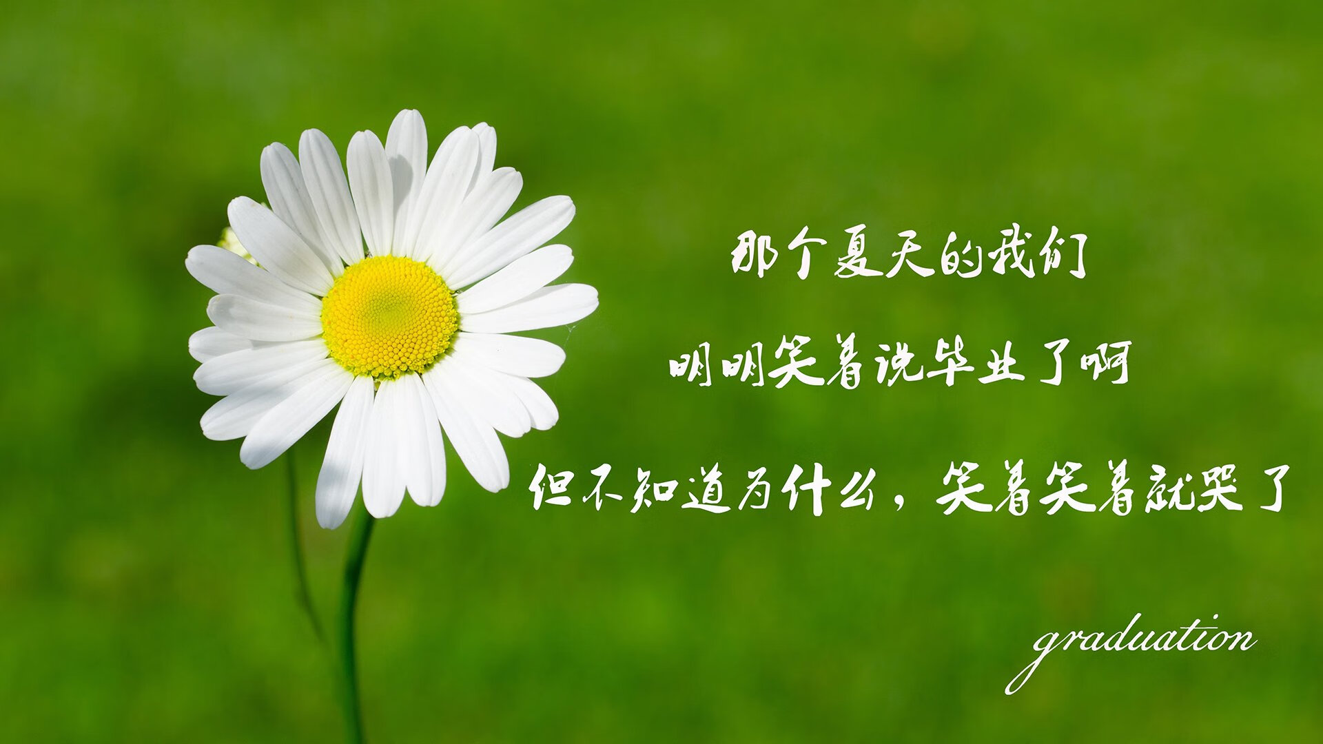 星辰陨落与王者加冕，2026世界杯F组焦点战，乌拉圭完胜智利，莱万多夫斯基的孤星之夜